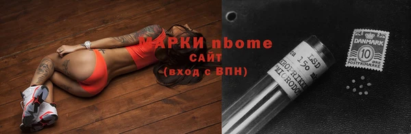 стаф Надым